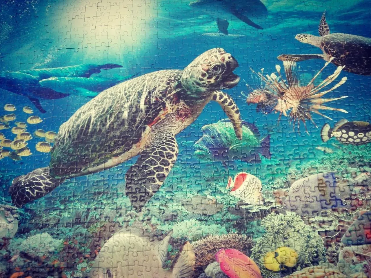 Hostel Puzzle Alfa Πόζναν 0*,  Πολωνία